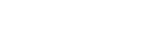 LERTIV